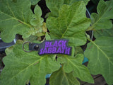 ITH Digital Embroidery Pattern for Black Sabbath Snap Tab / Keychain, 4X4 Hoop