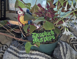 ITH Digital Embroidery Pattern for Dropkick Murphys Snap Tab / Keychain, 4X4 Hoop